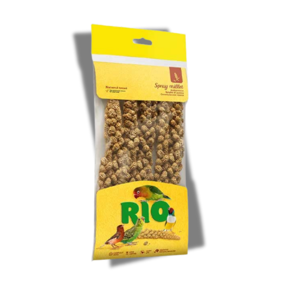 RIO Kolbenhirse für Vögel