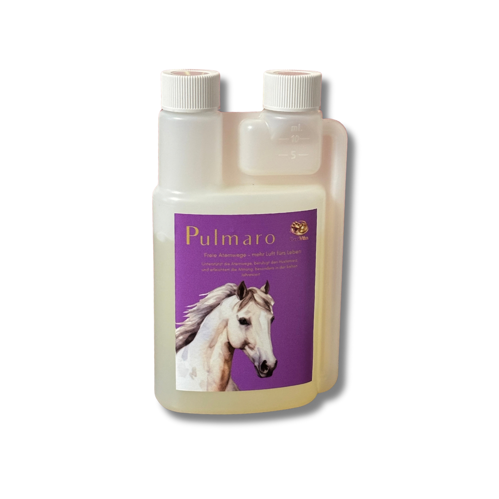 Pulmaro